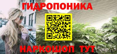 шишки Чапаевск