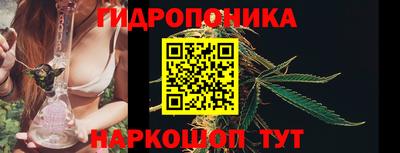 шишки Чапаевск