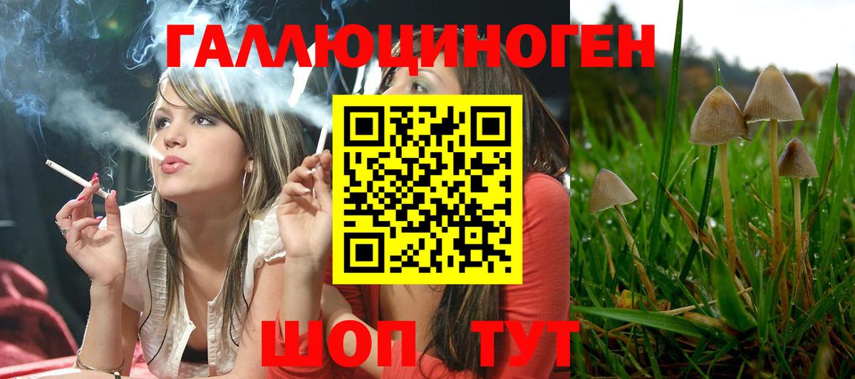 Галлюциногенные грибы прущие грибы Баксан